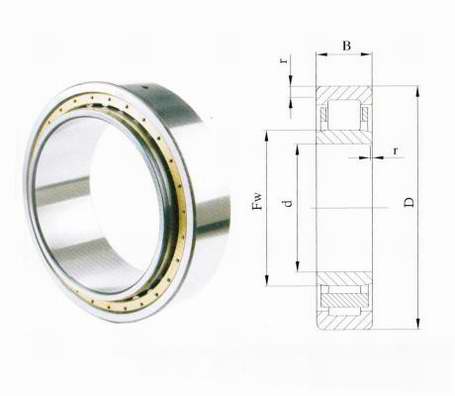 Single-row cylindrical roller bearings