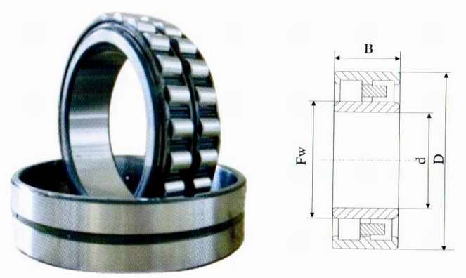 Double-row cylindrical roller bearings